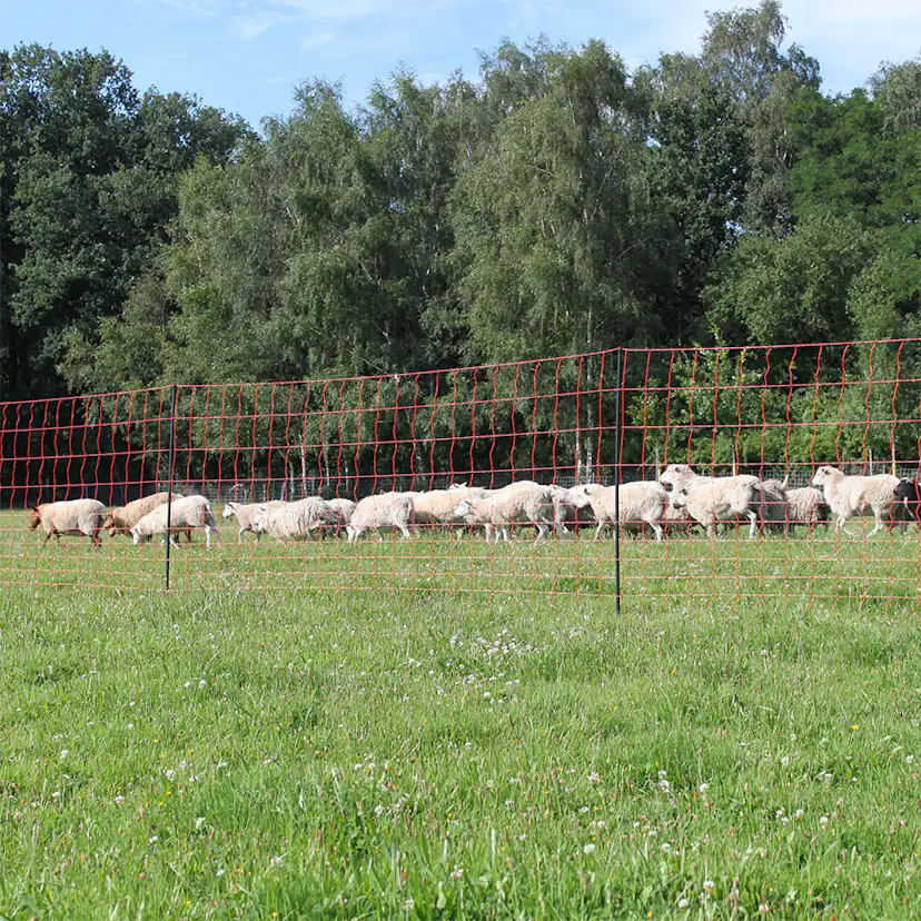 Elnät Swedguard Vilt/Varg 145 cm