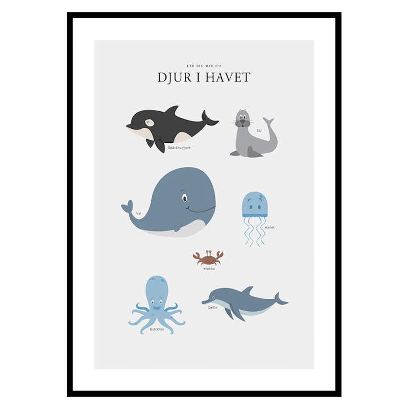 Poster Gallerix Djur I Havet