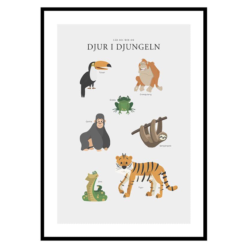 Poster Gallerix Djur I Djungeln