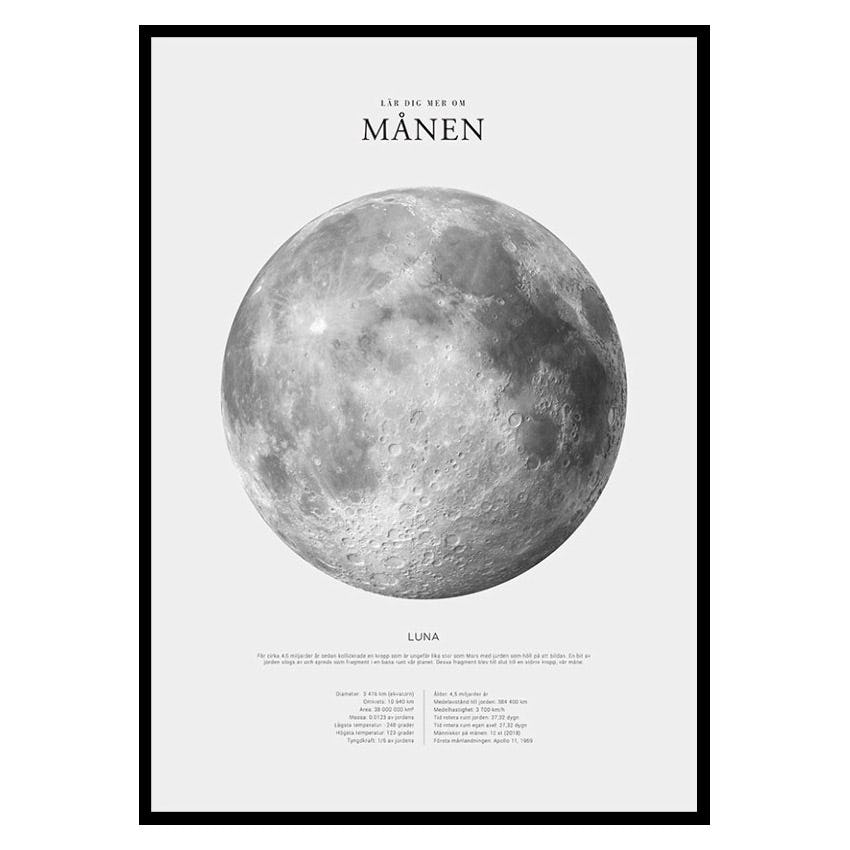 Poster Gallerix Månen