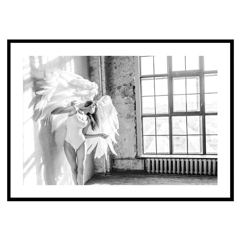 Poster Gallerix White Wings No2