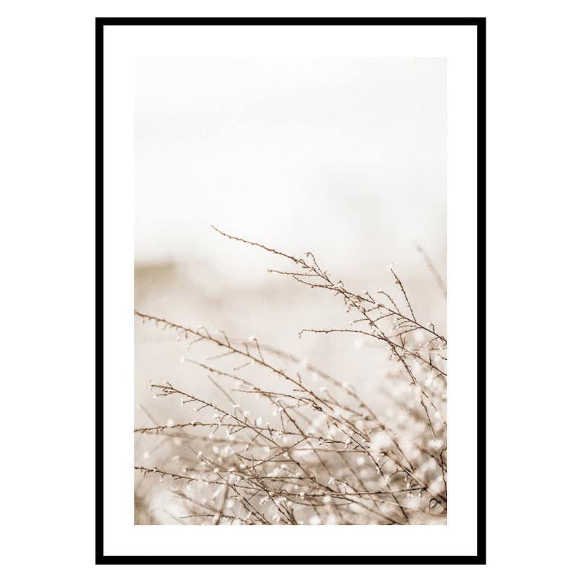 Poster Gallerix Branches