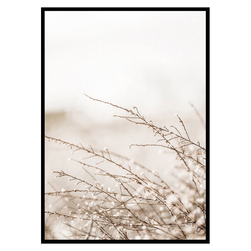 Poster Gallerix Branches