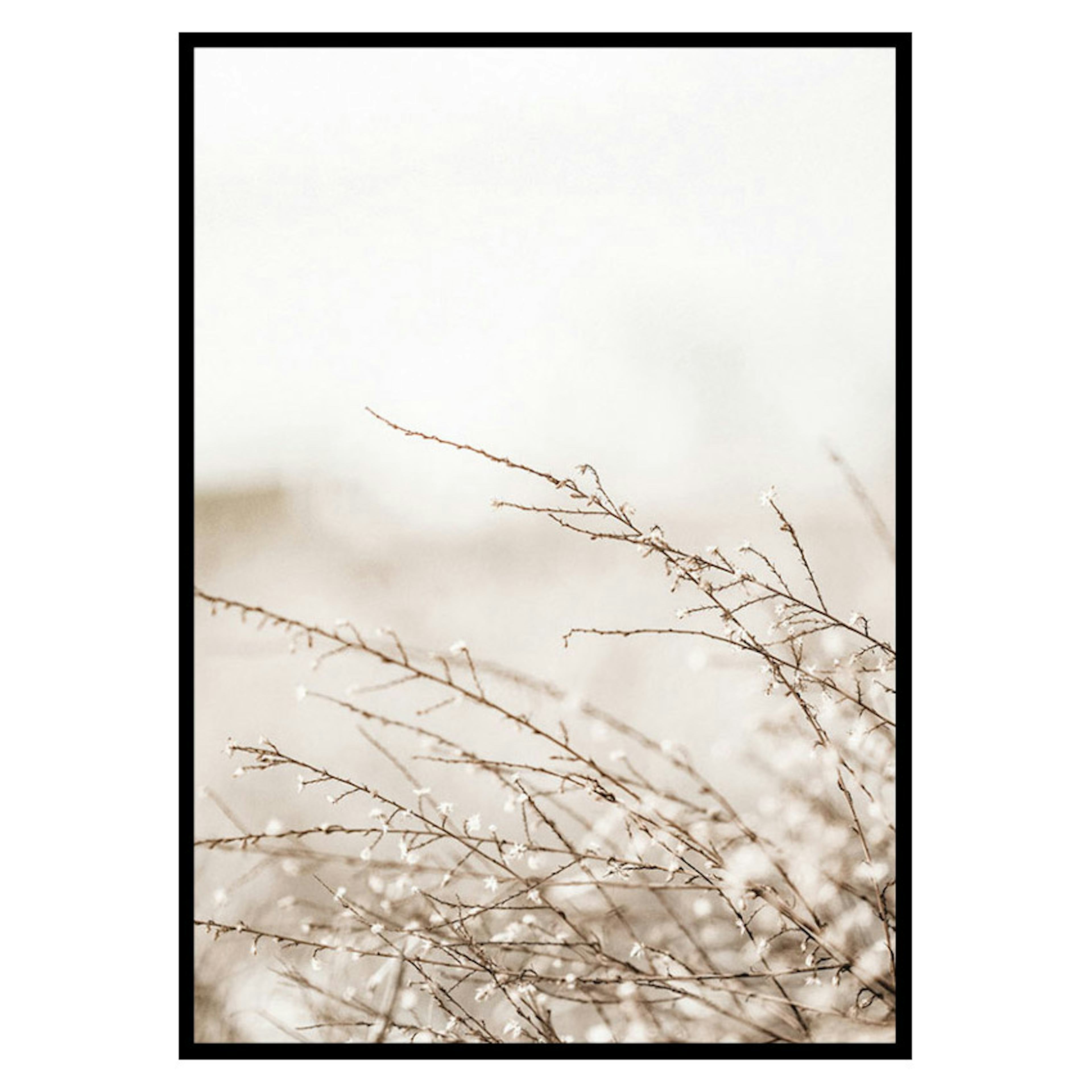 Poster Gallerix Branches