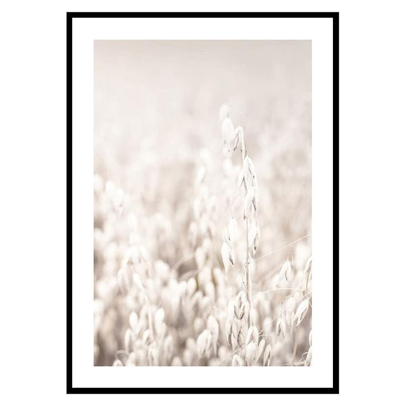 Poster Gallerix Oats