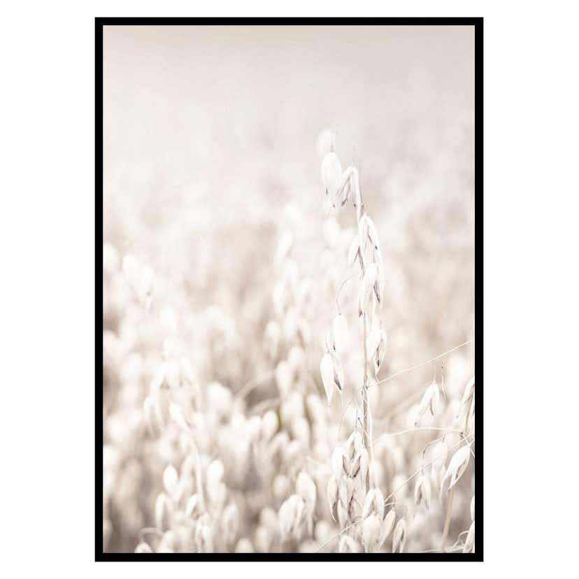 Poster Gallerix Oats