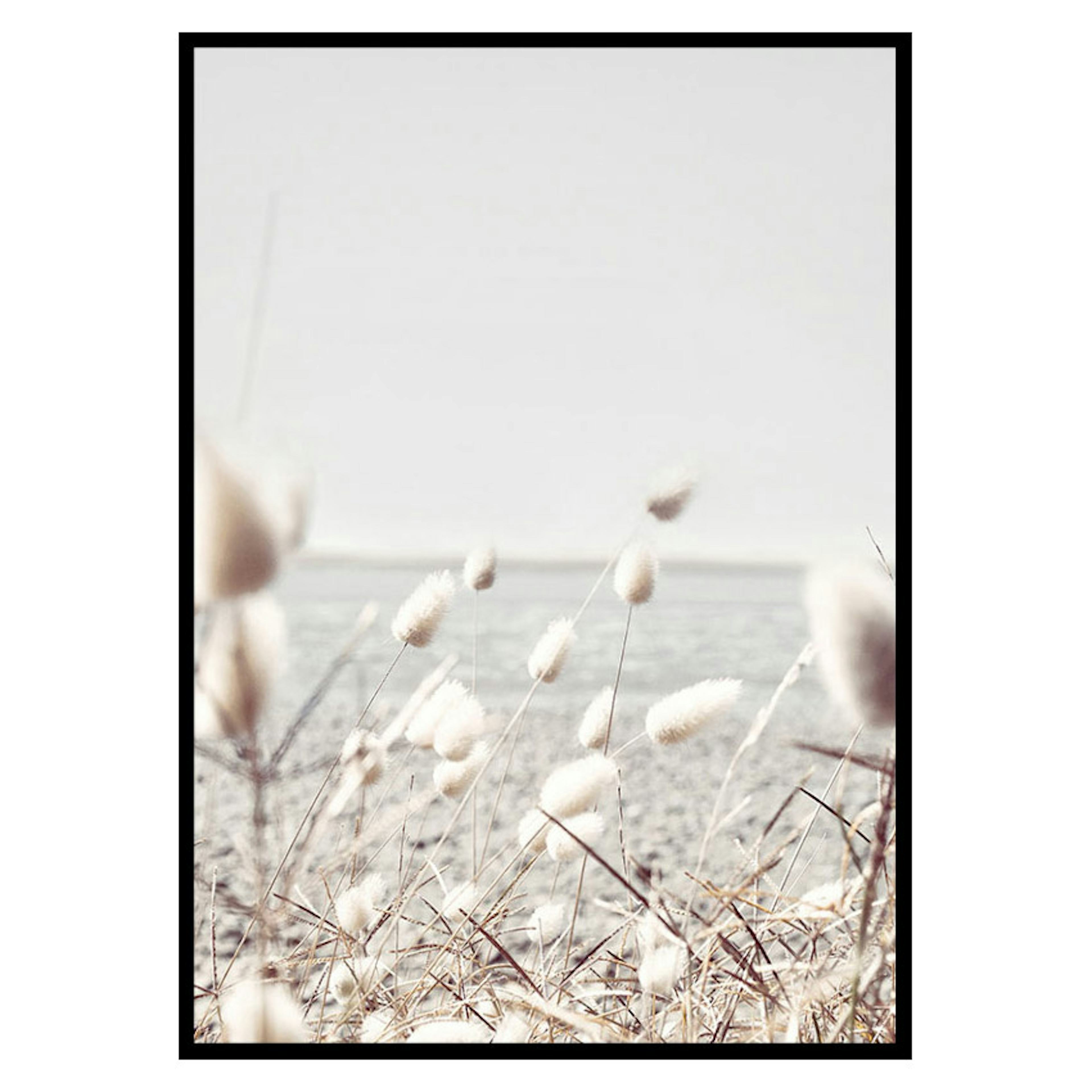 Poster Gallerix Bunny Tails