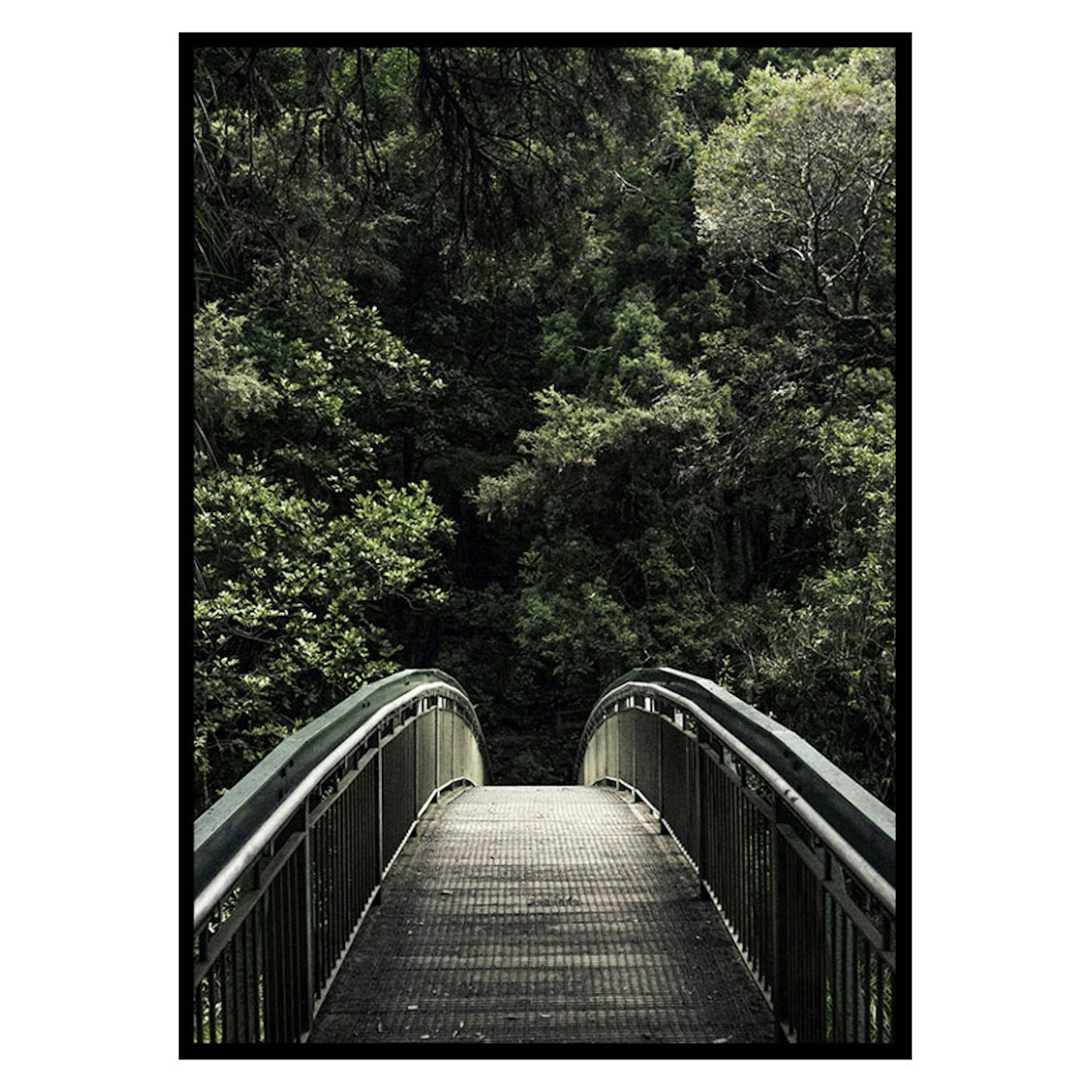 Poster Gallerix Forest Crossing