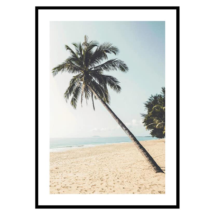 Poster Gallerix Leaning Palm