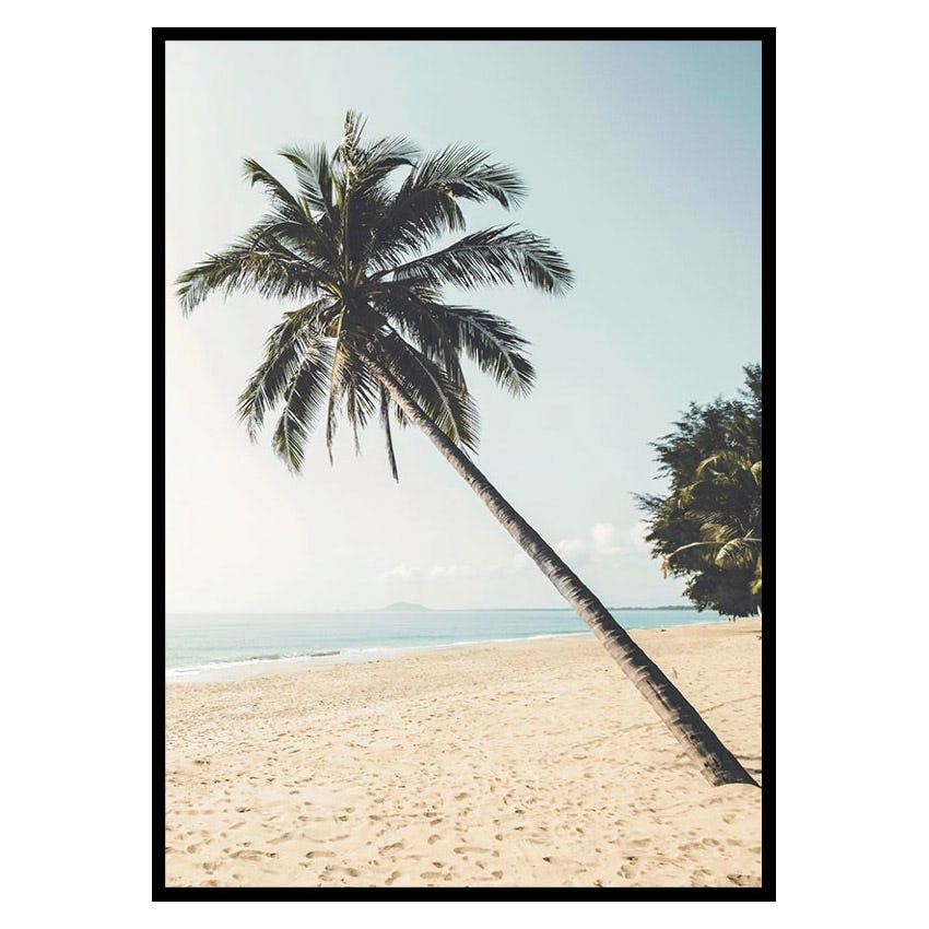 Poster Gallerix Leaning Palm