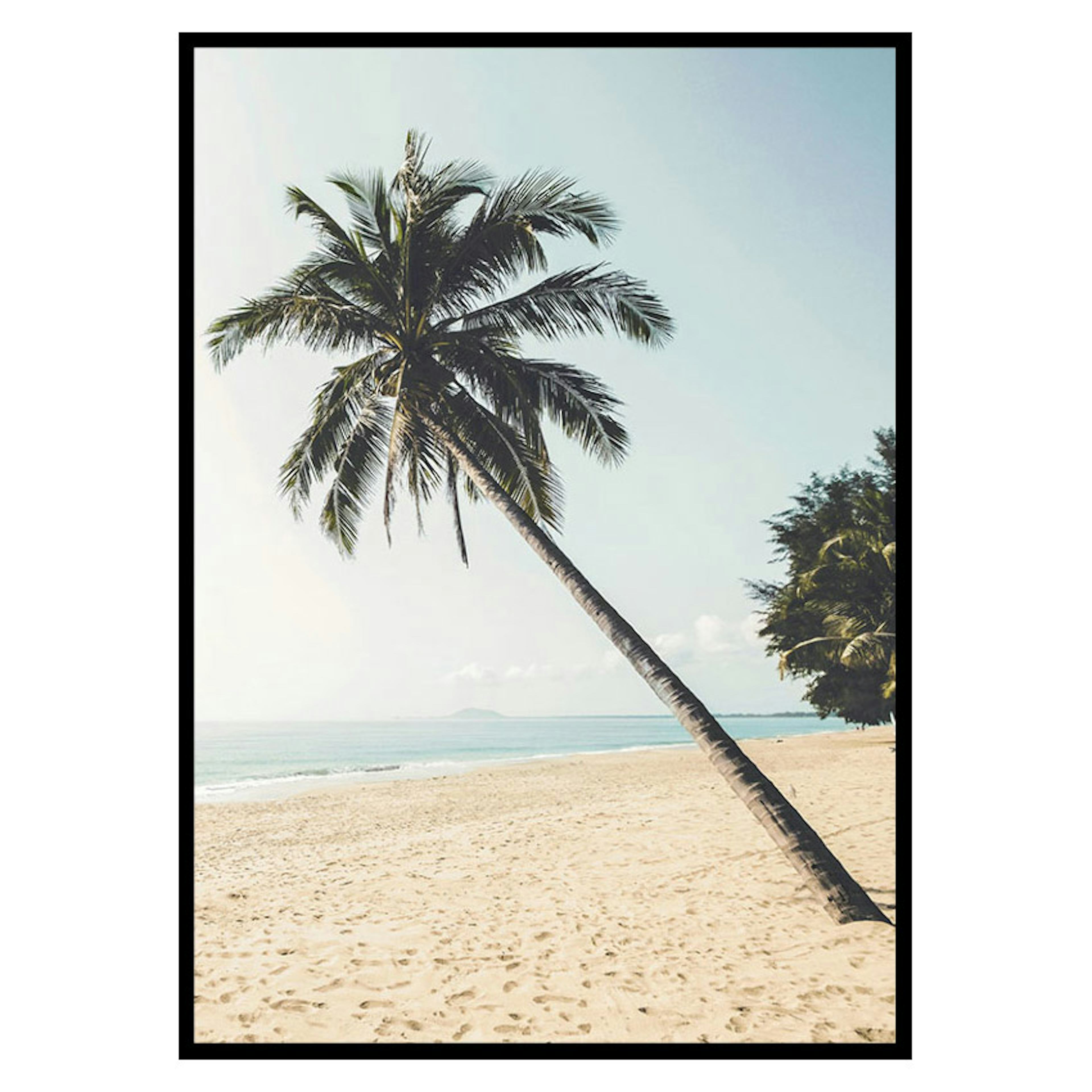 Poster Gallerix Leaning Palm