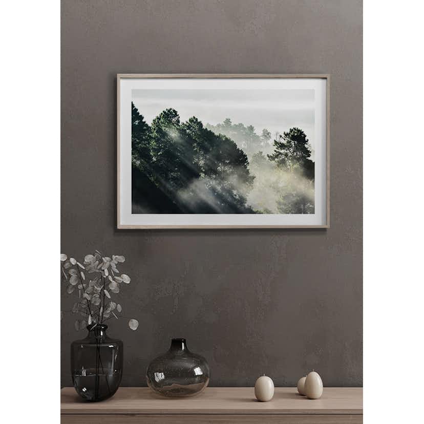 Poster Gallerix Sunlight Forest