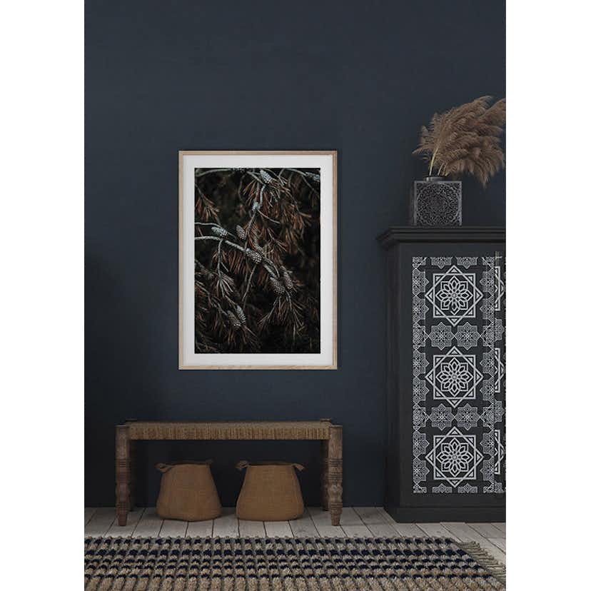 Poster Gallerix Tree Cones Dark