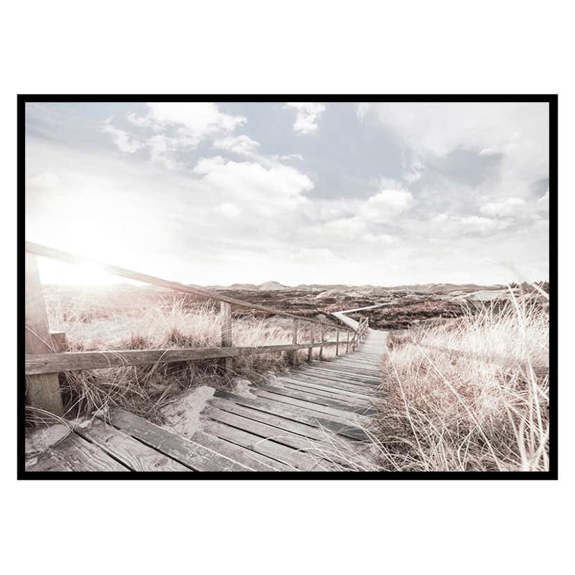 Poster Gallerix Amongst Grass