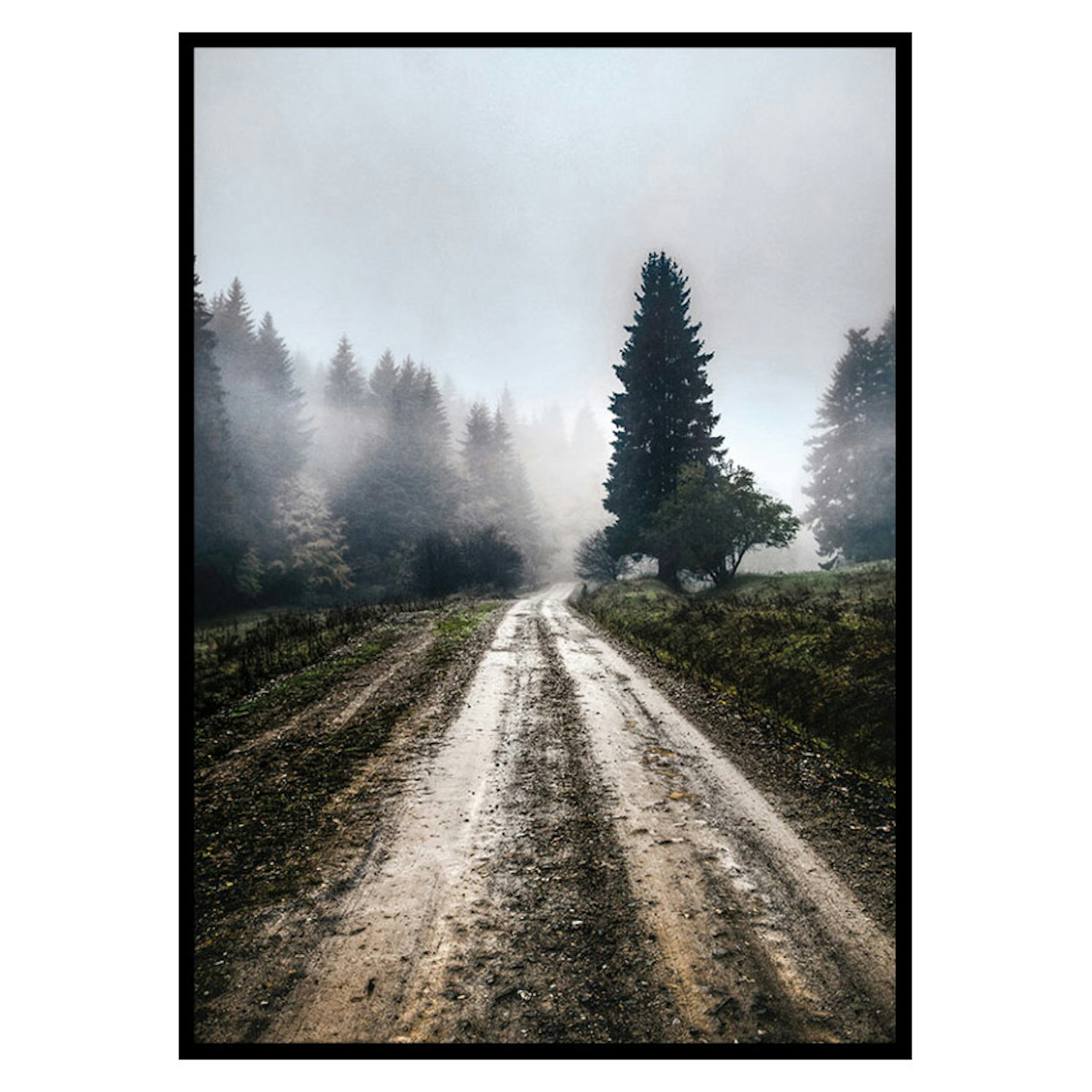 Poster Gallerix Muddy Raod No2