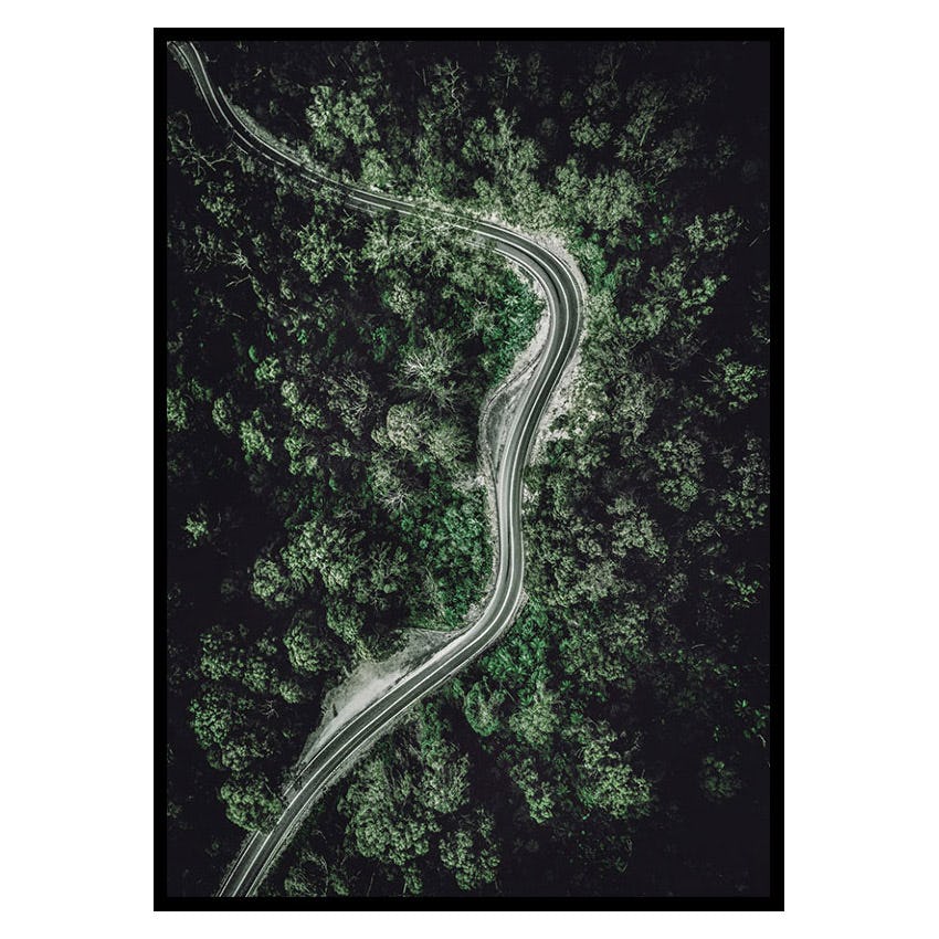 Poster Gallerix Forest Road