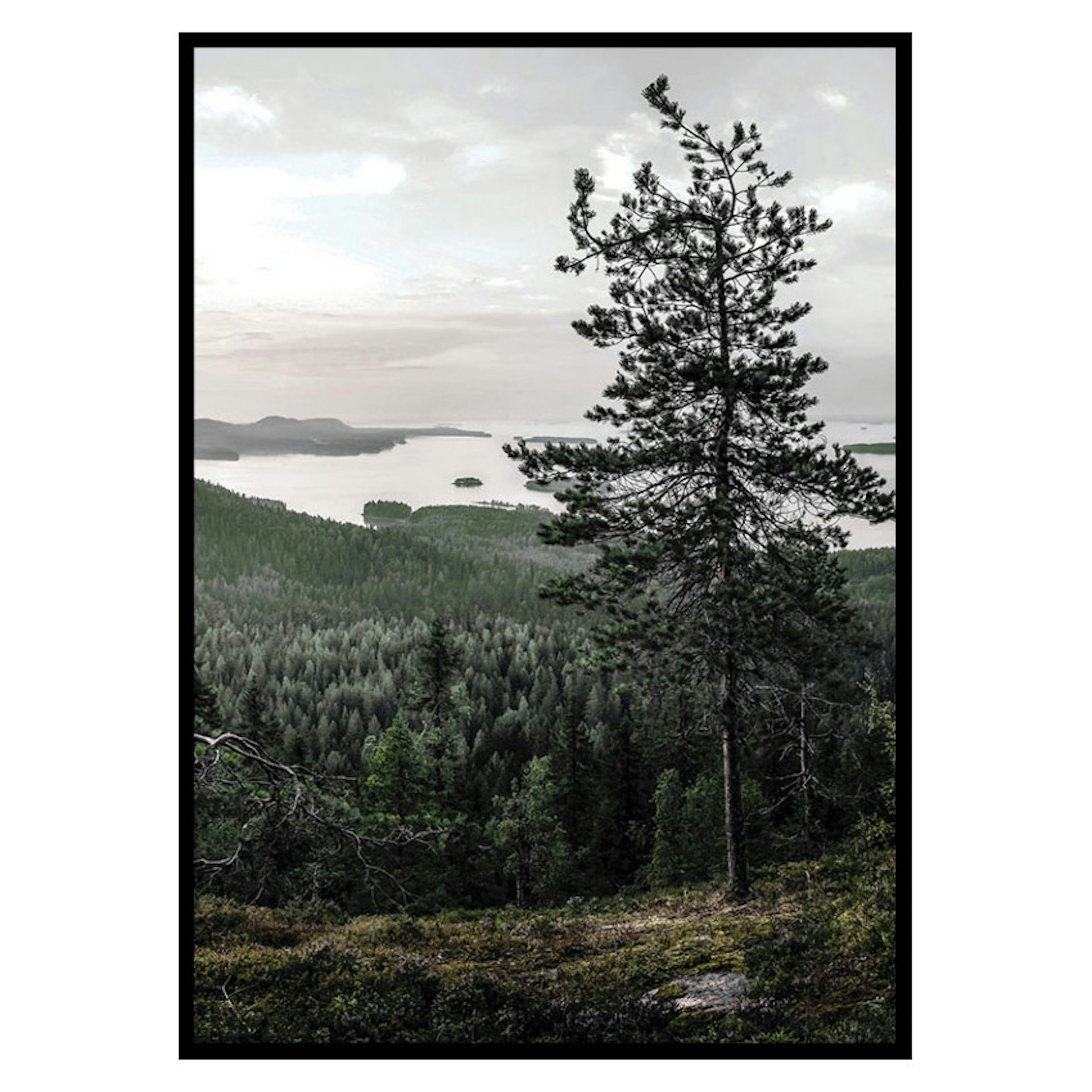 Poster Gallerix Lieksa