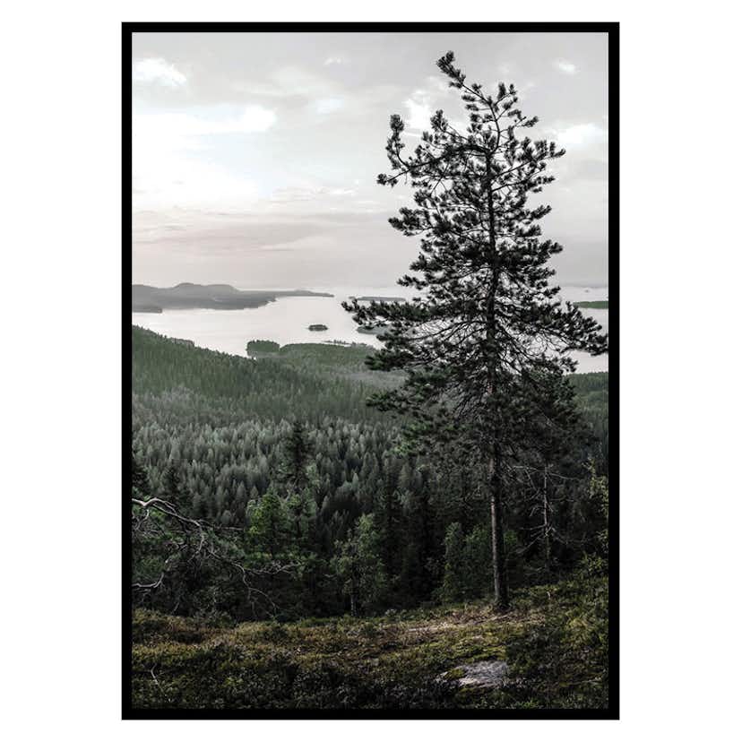 Poster Gallerix Lieksa