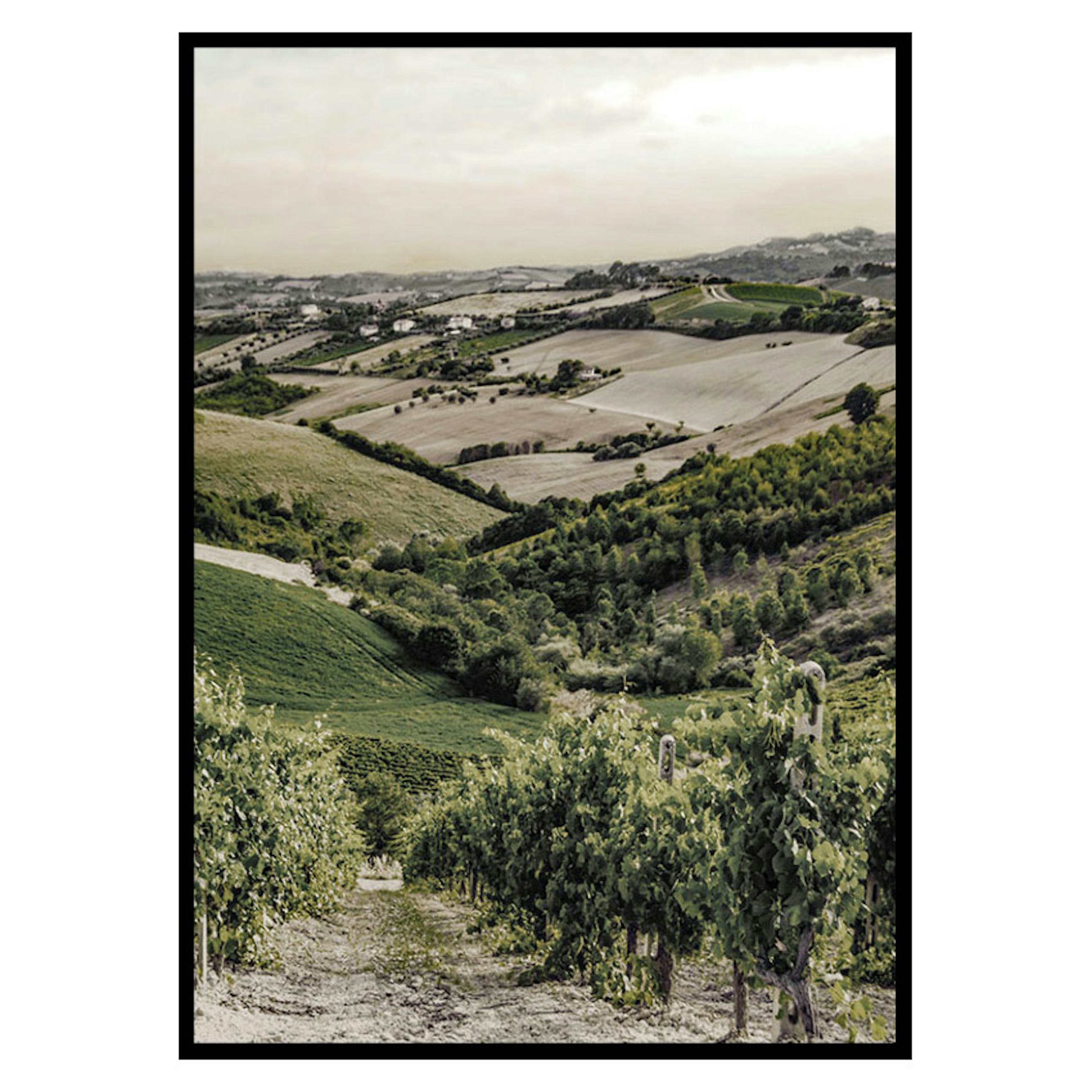 Poster Gallerix Gironde