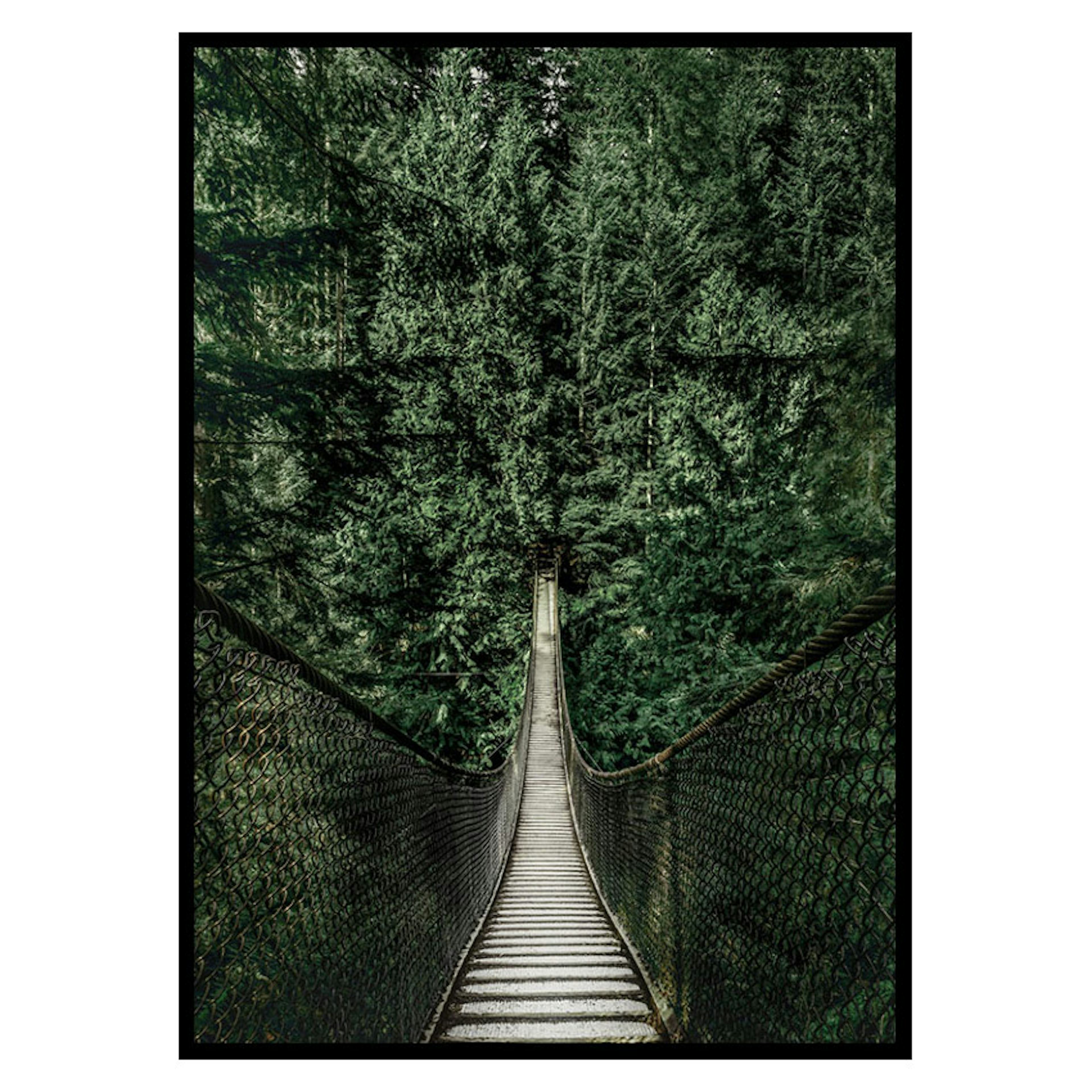 Poster Gallerix Escape Into The Forest
