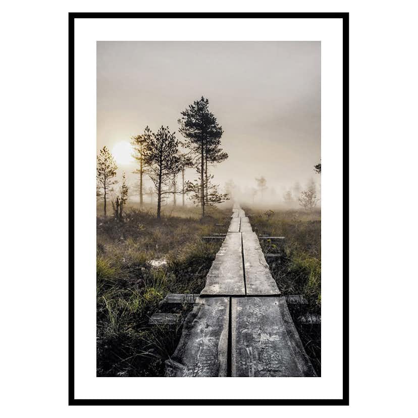 Poster Gallerix Torronsuo Wilderness