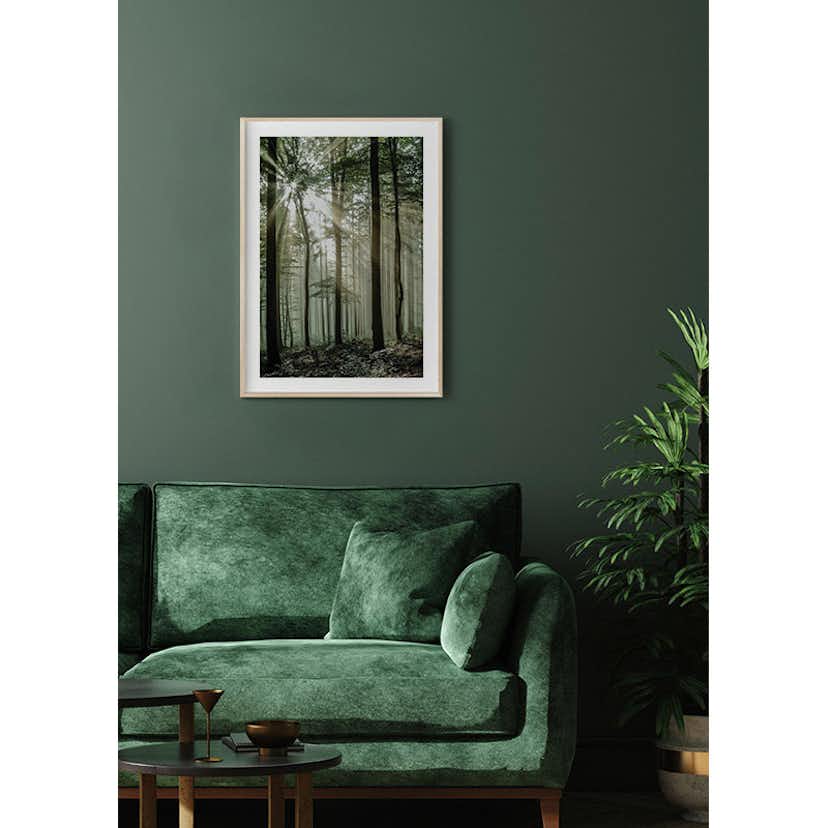 Poster Gallerix Light Through Trees