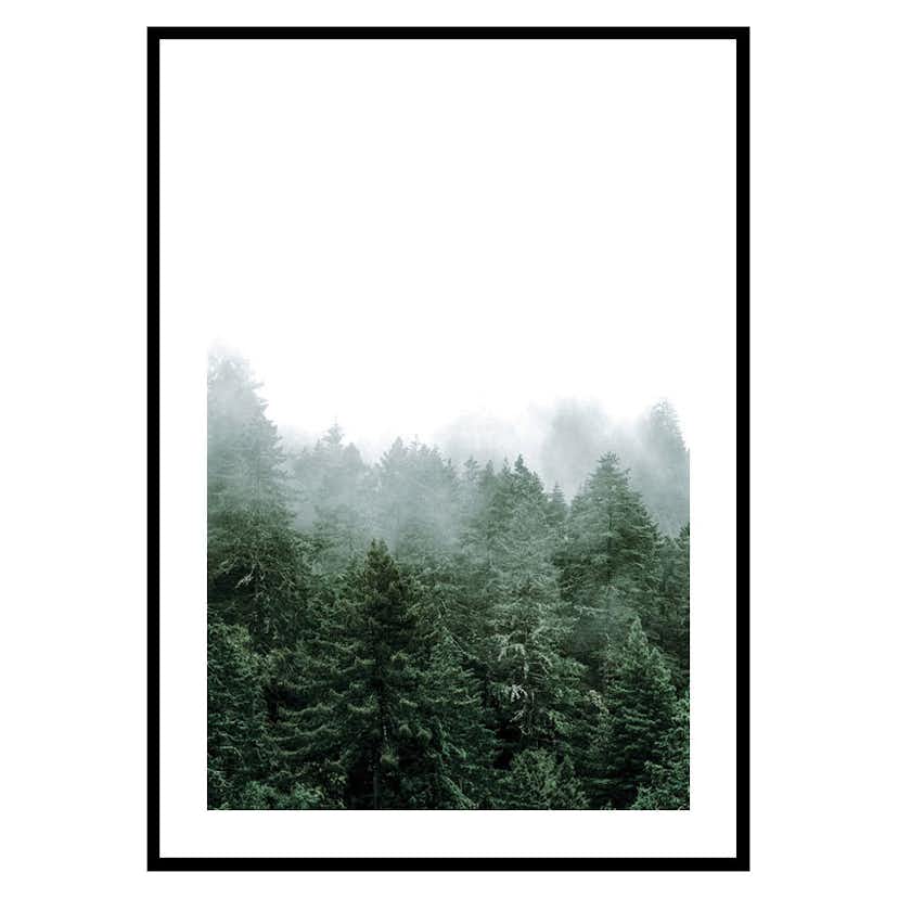 Poster Gallerix Misty Forest