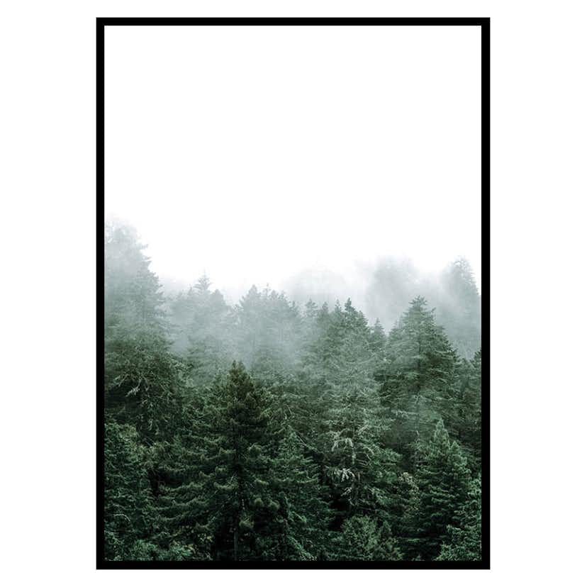 Poster Gallerix Misty Forest
