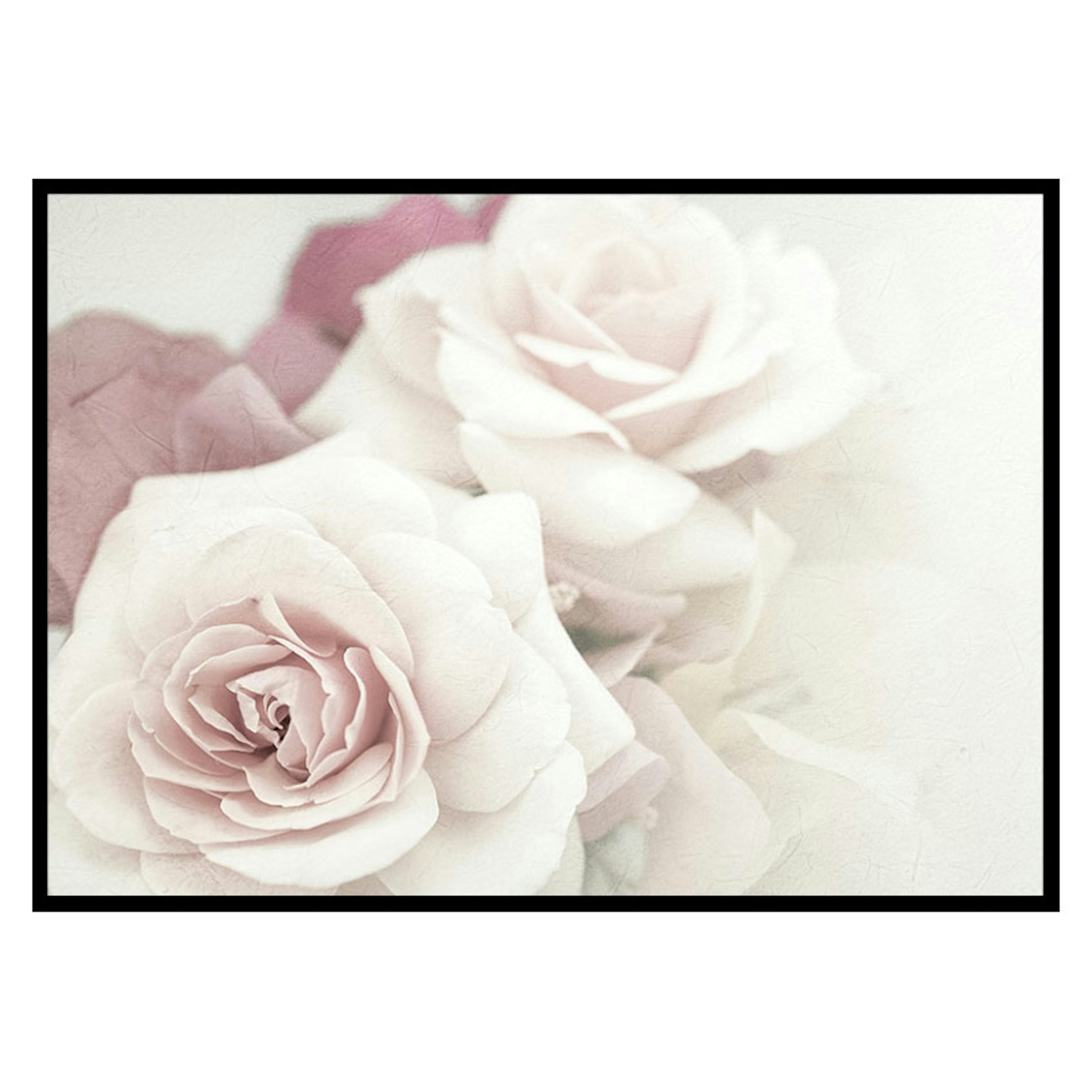 Poster Gallerix Perfect Pair Roses