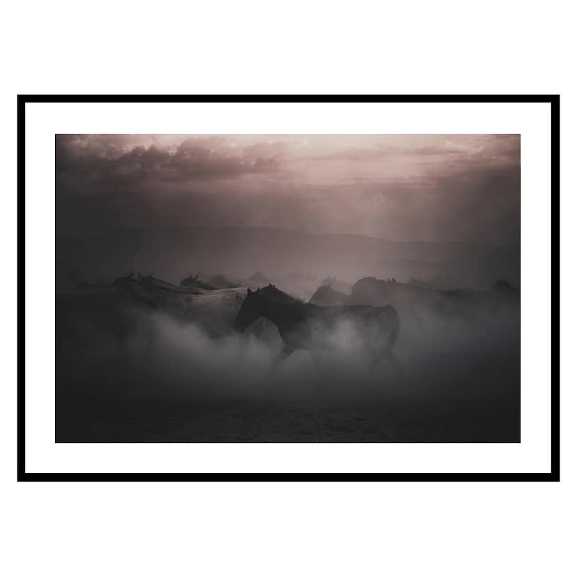 Poster Gallerix Sunset Horses