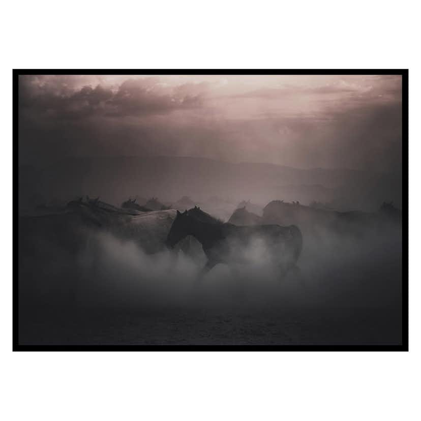 Poster Gallerix Sunset Horses