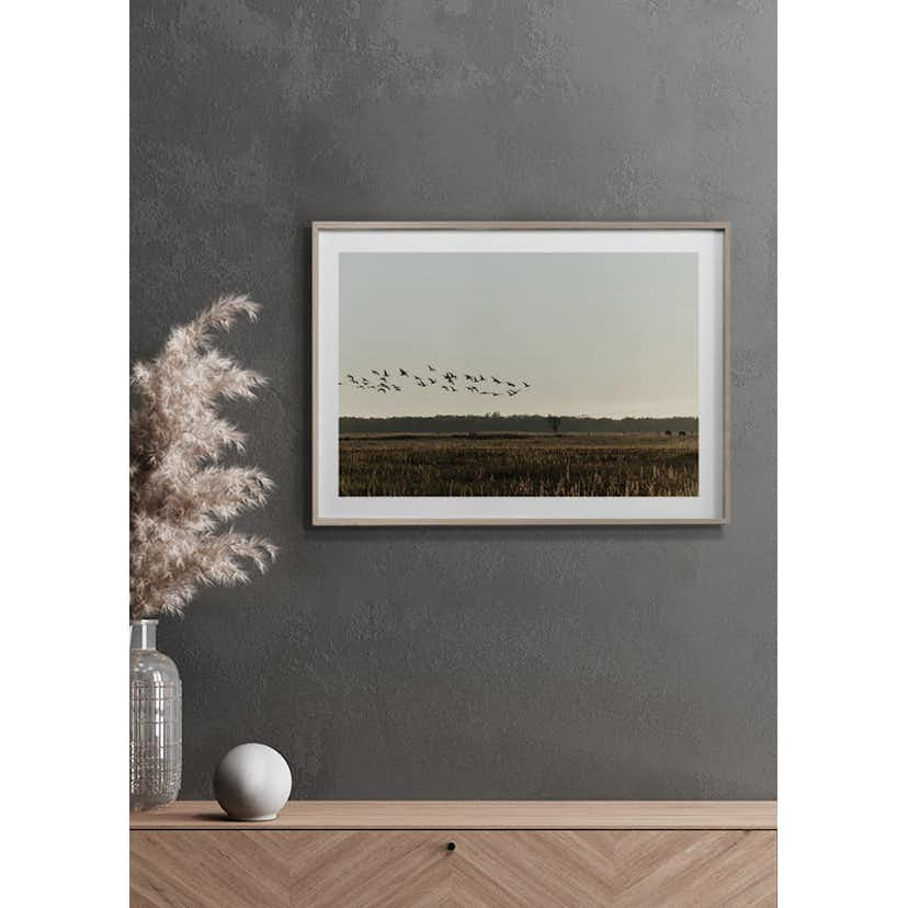 Poster Gallerix Birds Flyby