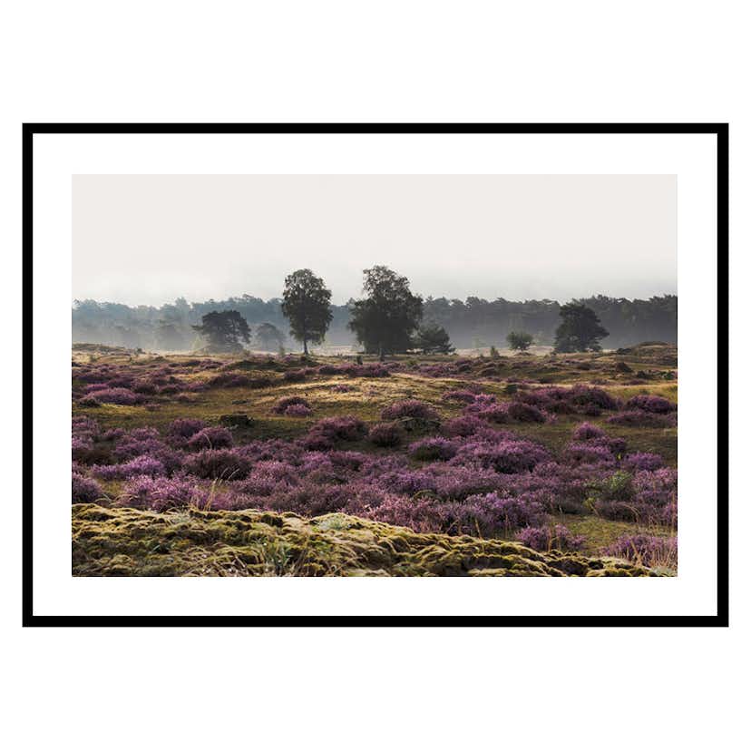 Poster Gallerix Veluwe Meadow