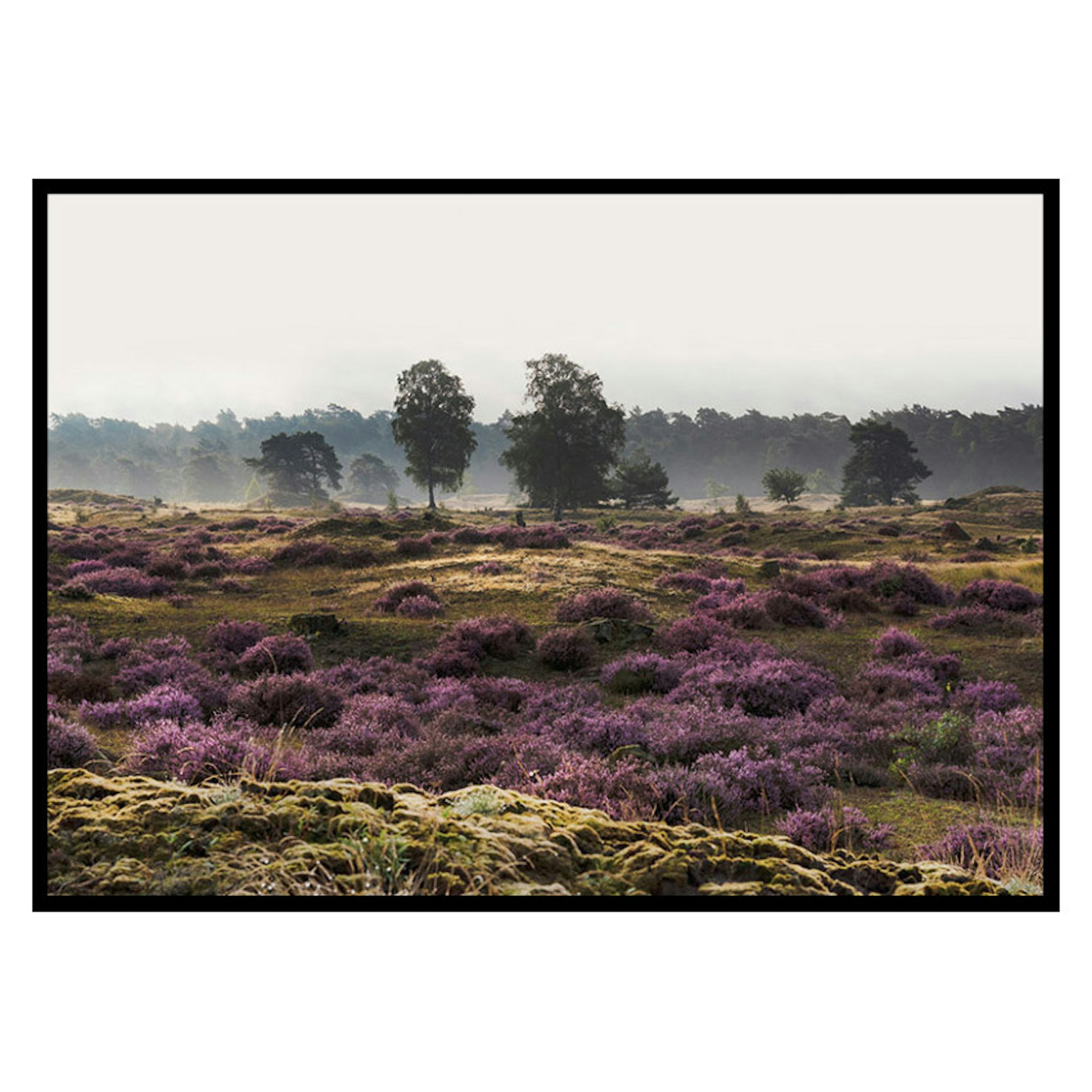 Poster Gallerix Veluwe Meadow