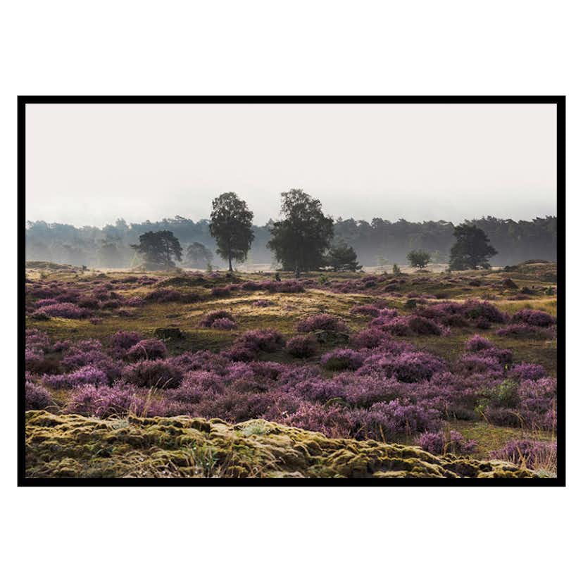 Poster Gallerix Veluwe Meadow