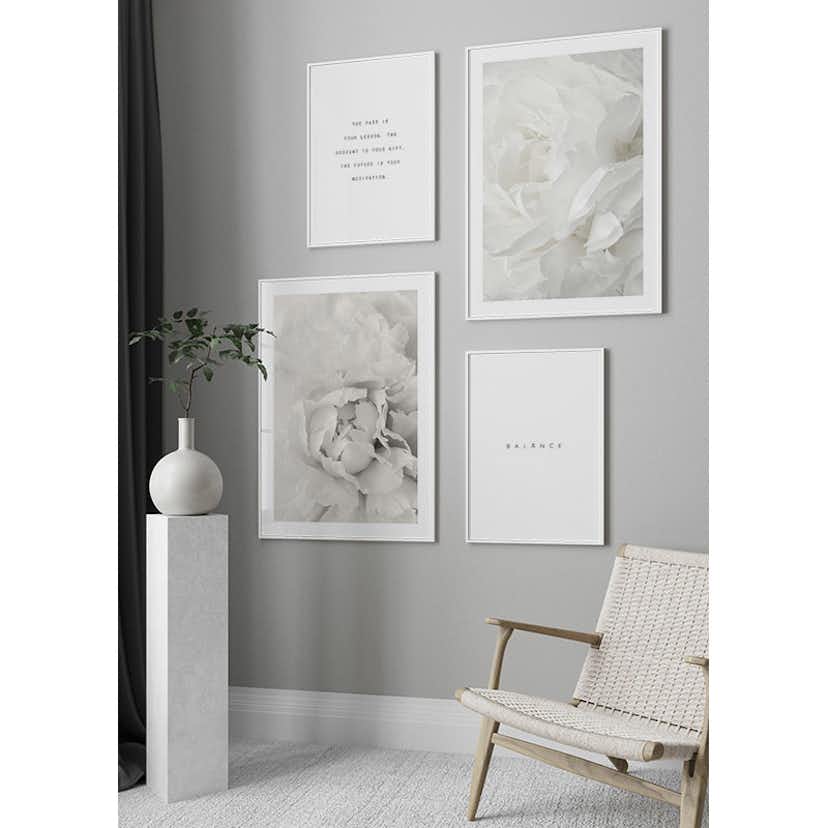 Poster Gallerix White Rose No2