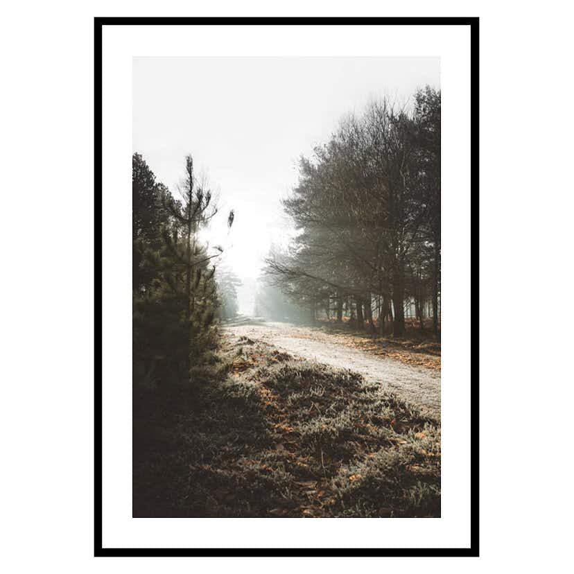 Poster Gallerix New Forest