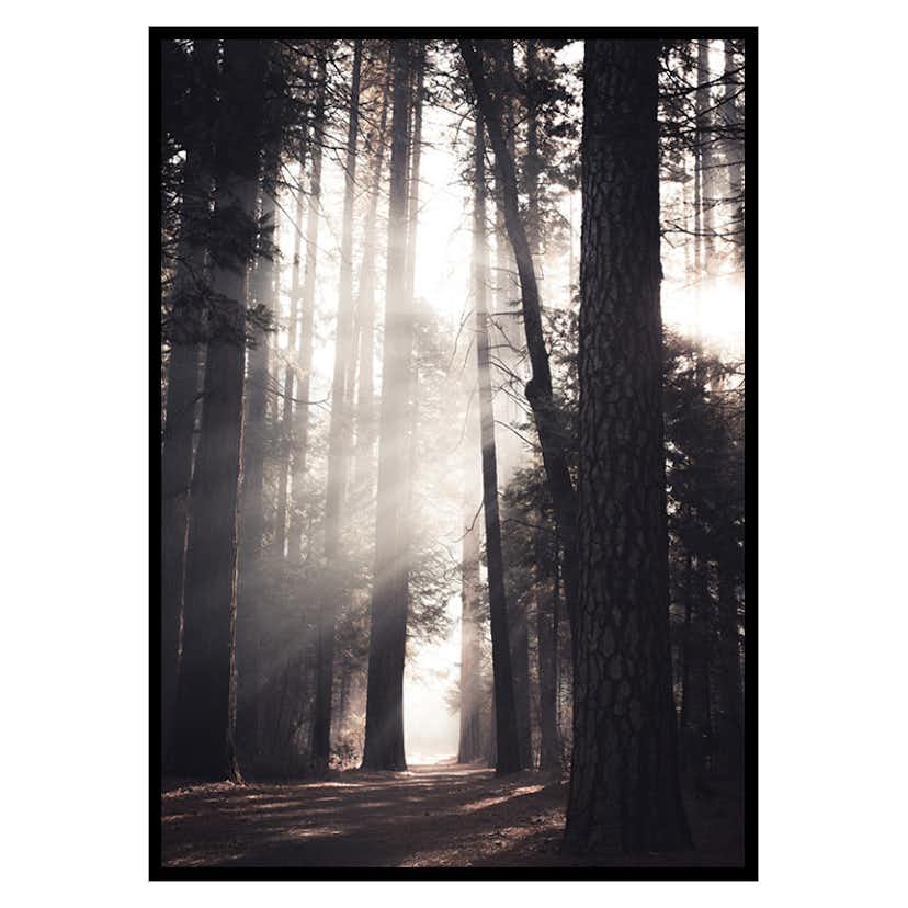 Poster Gallerix Yosemite Valley