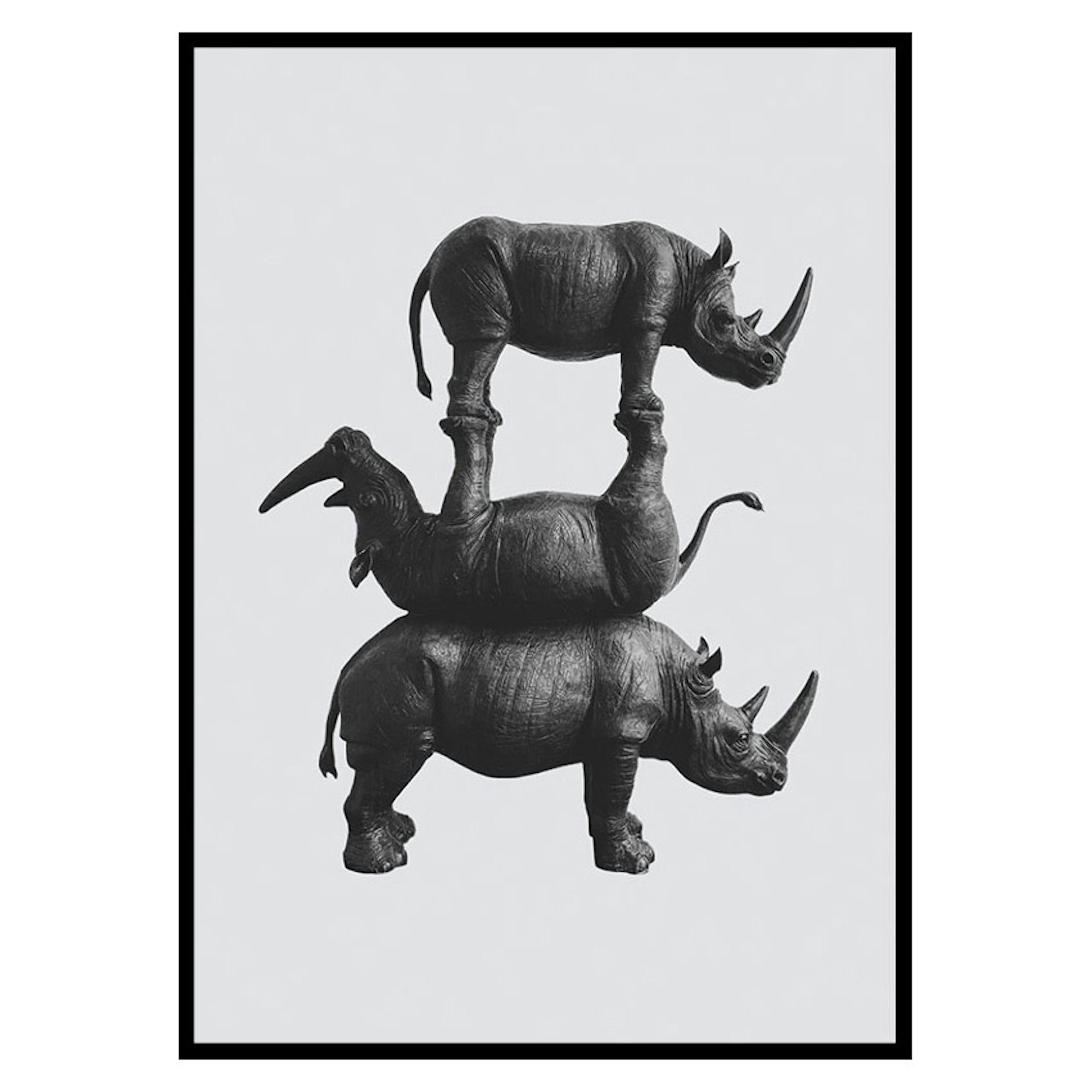 Poster Gallerix Three Rhinos