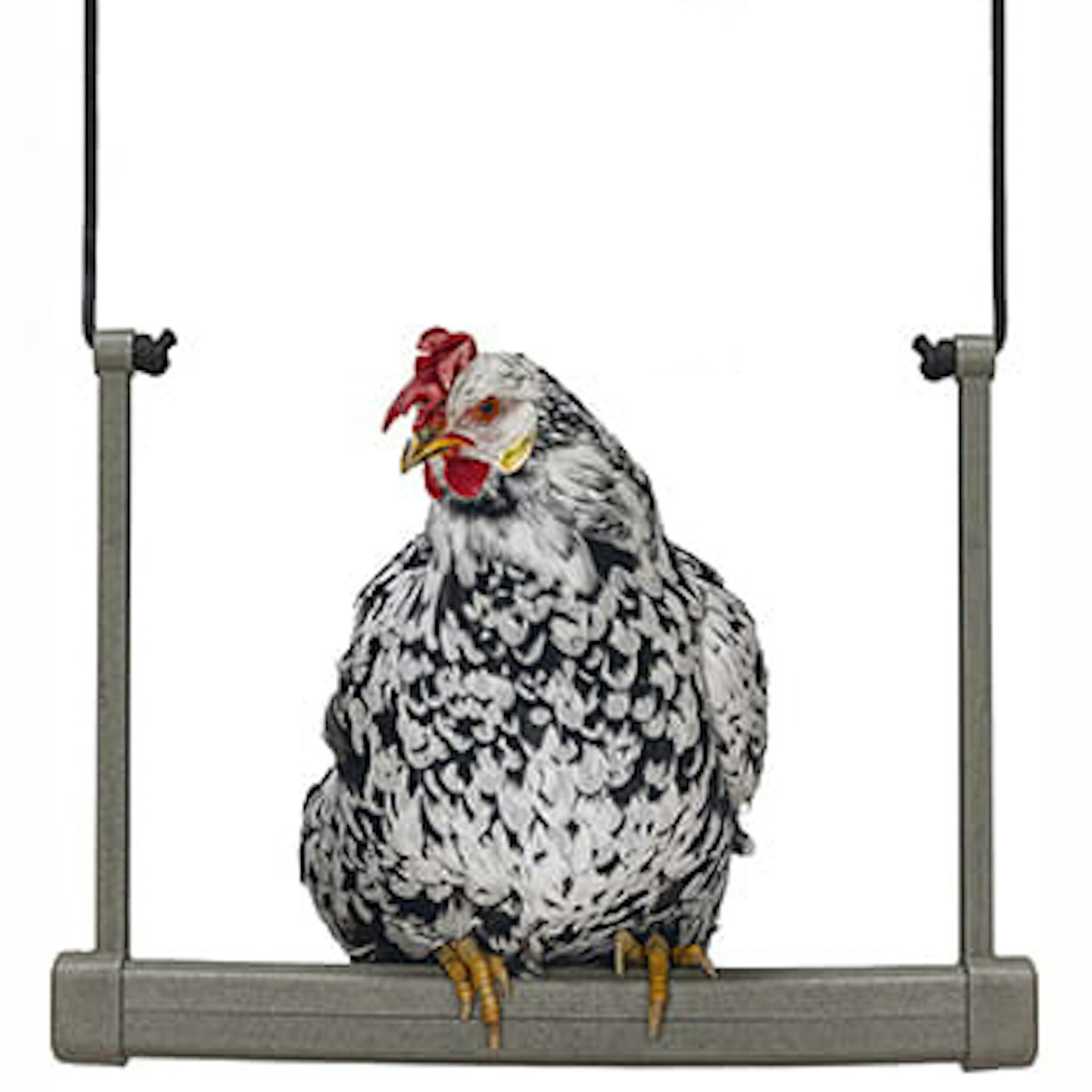 Hönsgunga Ryom Plast