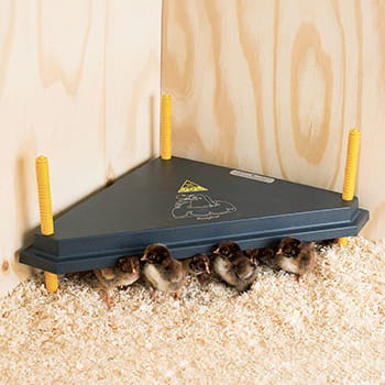 Värmetak Ryom Olba för Kycklingar Hörn