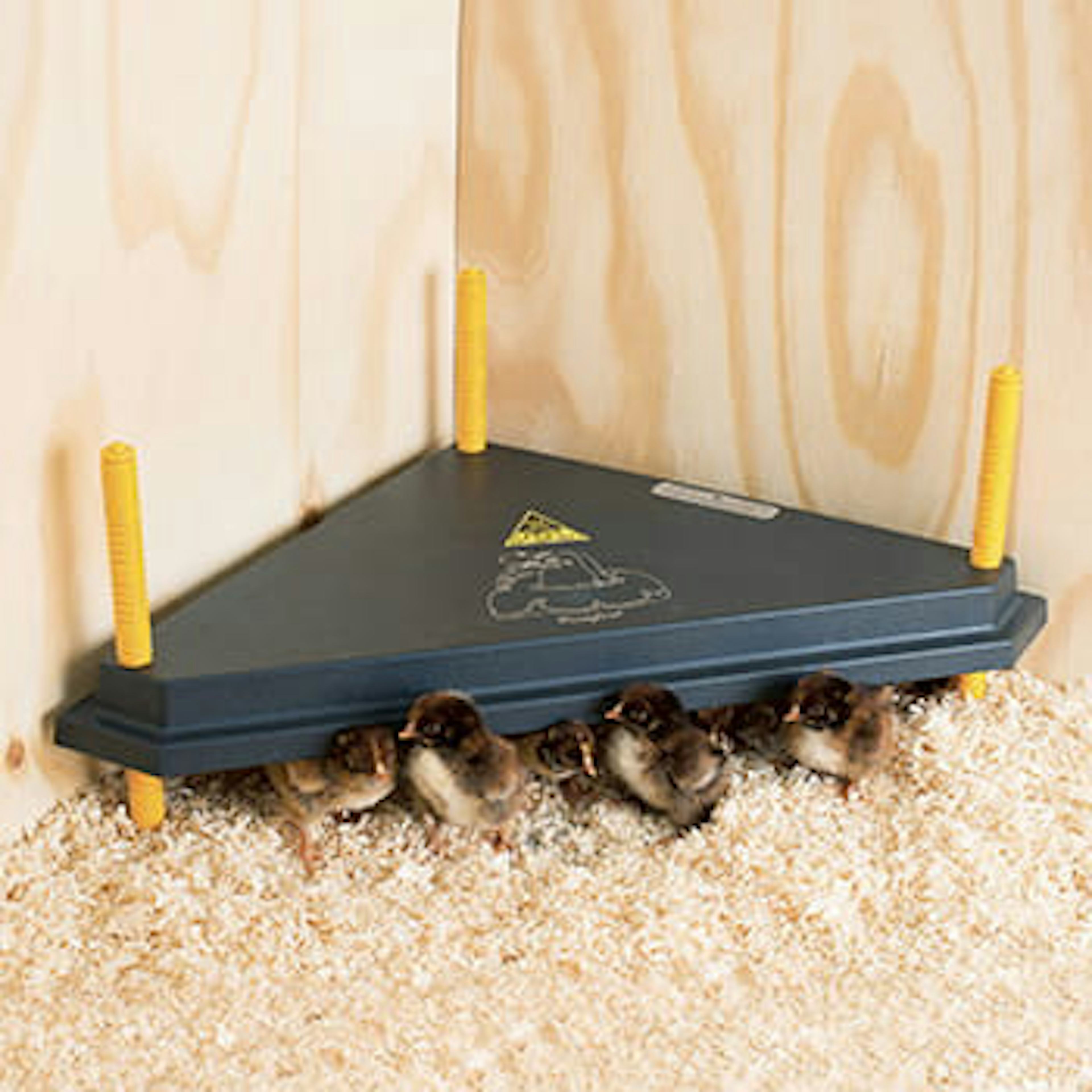 Värmetak Ryom Olba för Kycklingar Hörn