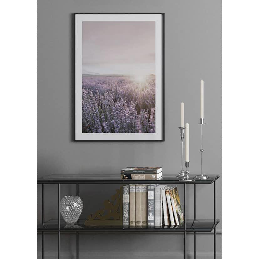 Poster Gallerix Provence Lavender