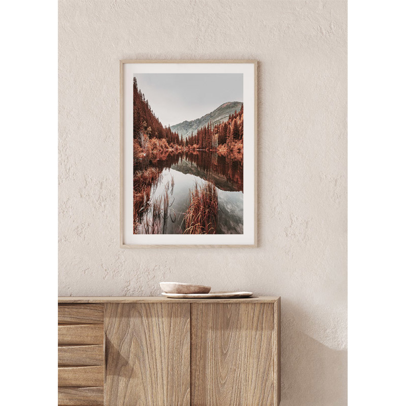 Poster Gallerix Colorado Forest