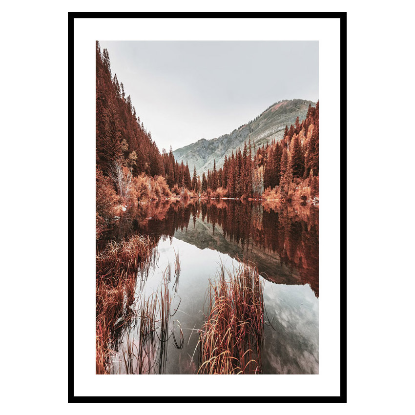 Poster Gallerix Colorado Forest