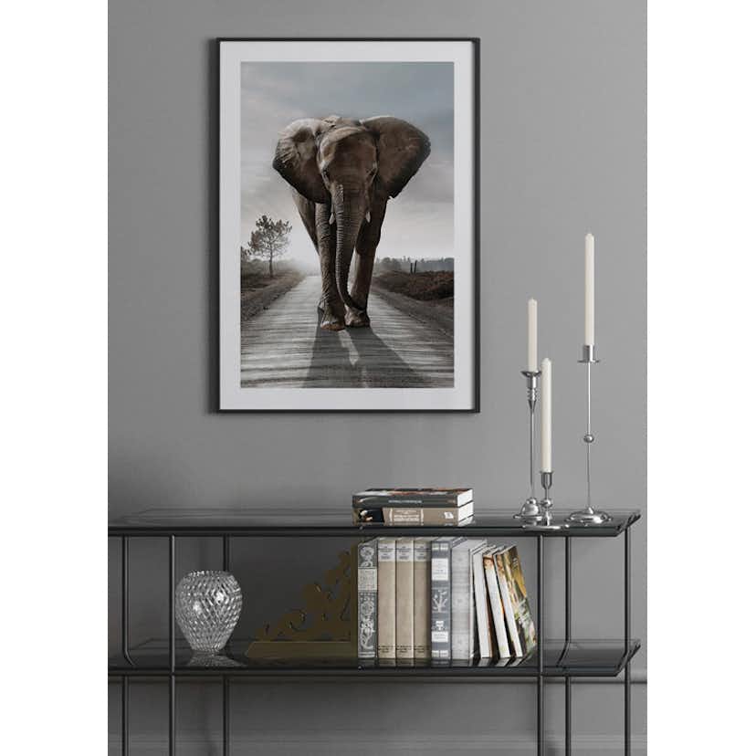 Poster Gallerix Elephant Road