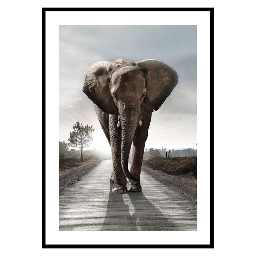 Poster Gallerix Elephant Road