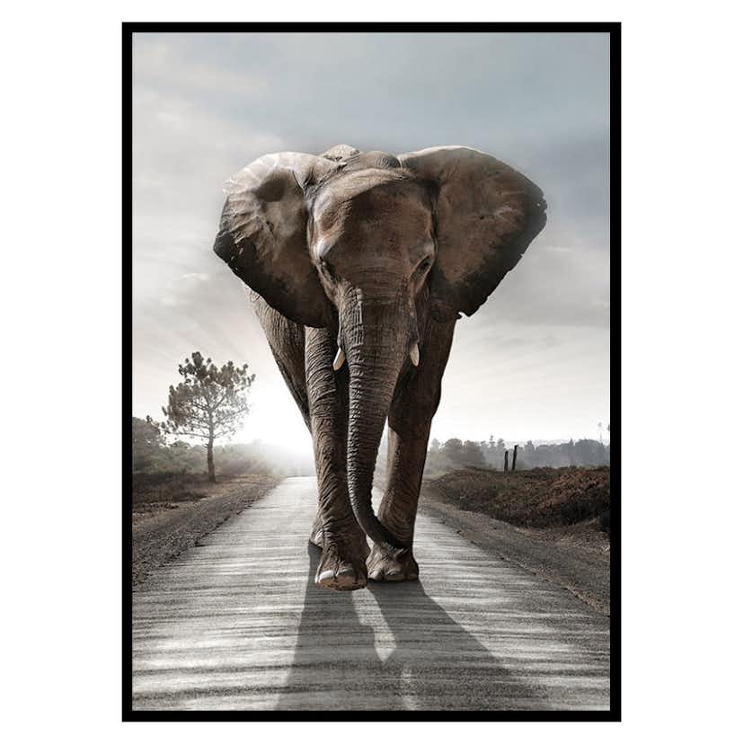 Poster Gallerix Elephant Road