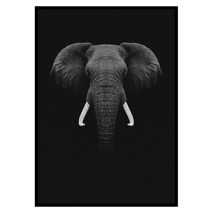 Poster Gallerix Black Elephant