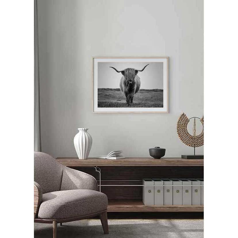 Poster Gallerix Highland Cattle B&W